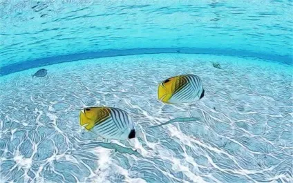 Яке море омиває ОАЕ
