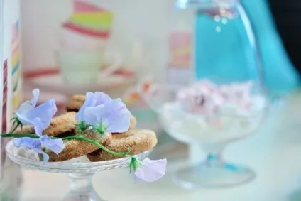 Як відкрити весільне агентство з нуля, міжнародне весільне агентство the wedding stars (агентство) Як відкрити весільне агентство з нуля, міжнародне весільне агентство the wedding stars