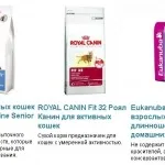 Який корм краще для кішок сухий або вологий, проплав або роял Канін, натуральний або рідкий відгуки (корм) Який корм краще для кішок сухий або вологий, проплав або роял Канін, натуральний або рідкий відгуки