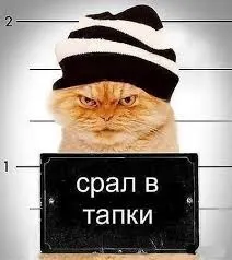 Як відучити кота мітити квартиру (чоловіки) Як відучити кота мітити квартиру