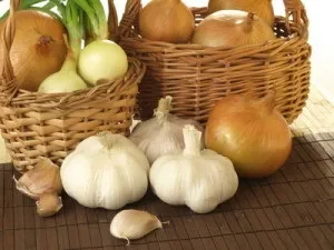 Який запах відлякує кішок (нужду недозволеному місці) Який запах відлякує кішок