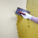 Як пофарбувати короїд - вибір фарби і технологія нанесення (пофарбувати) Як пофарбувати короїд - вибір фарби і технологія нанесення