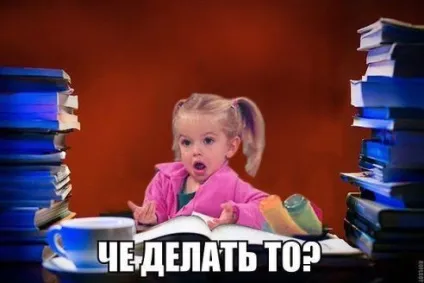 Як допомогти пораненому голубу, підібраному на вулиці і що робити далі (см) (допомогти птиці) Як допомогти пораненому голубу, підібраному на вулиці і що робити далі (см)