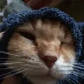 Як правильно факт, який був самим собою зрозуміло або факт, який був само собою зрозуміло (собою) Як правильно факт, який був самим собою зрозуміло або факт, який був само собою зрозуміло