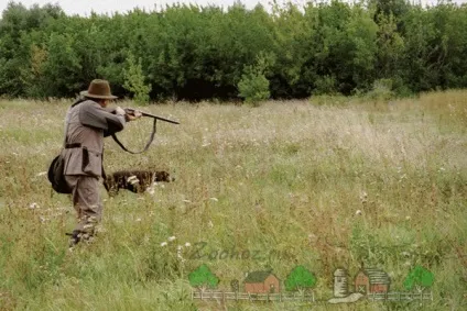 Як спіймати куріпку без рушниці фото і відео огляд (фото) Як спіймати куріпку без рушниці фото і відео огляд