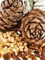Як правильно варити хінкалі (хінкалі) Як правильно варити хінкалі