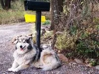 Як правильно виступати в суді (відчувати себе впевнено) Як правильно виступати в суді