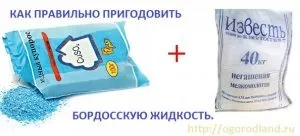 Як приготувати бордоською рідиною (бордоською рідиною) Як приготувати бордоською рідиною