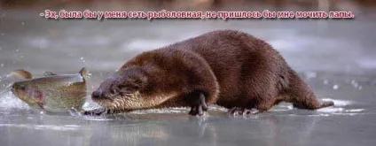 Як правильно вибрати рибальську мережу (рибальську) Як правильно вибрати рибальську мережу