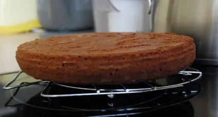 Як приготувати лимонний торт з покрокового рецептом з фото