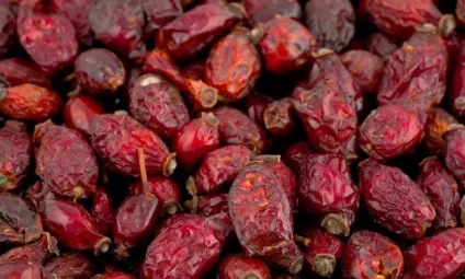 Як правильно сушити шипшину в домашніх умовах кращі поради (чи можна збирати шипшина після морозу) Як правильно сушити шипшину в домашніх умовах кращі поради