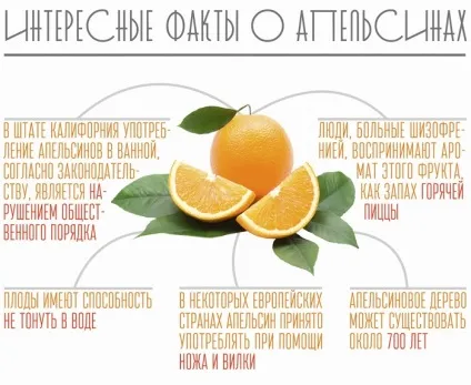 Як правильно вибрати апельсини