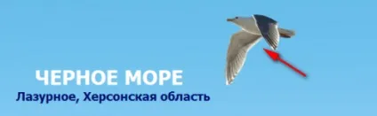 Як програмісти жартують над клієнтами - web новини, огляди, поради