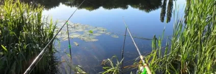 Як відбувається ловля щуки на гуртки (щуки) Як відбувається ловля щуки на гуртки