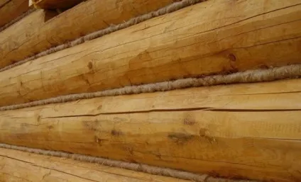 Як проконопатити лазню зі зрубу, своїми руками (садиба) (баню) Як проконопатити лазню зі зрубу, своїми руками (садиба)