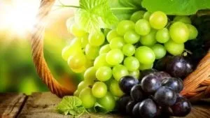 Як самому прибрати жовтизну з волосся після знебарвлення (жовтизну) Як самому прибрати жовтизну з волосся після знебарвлення