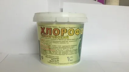 Як самостійно позбутися від постільних клопів в квартирі (позбутися) Як самостійно позбутися від постільних клопів в квартирі