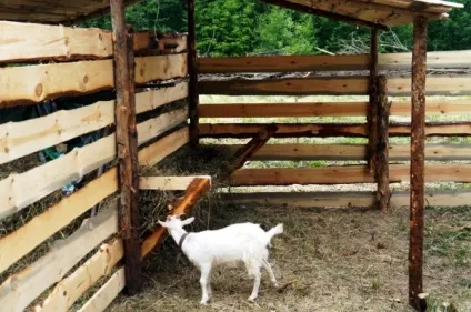 Як зробити гамак для дачі з каркасом своїми руками, український дім, побудуй і живи в ньому! (Своїми) Як зробити гамак для дачі з каркасом своїми руками, український дім, побудуй і живи в ньому!