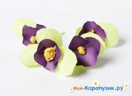 Як зробити фіалки з паперу своїми руками (фіалки) Як зробити фіалки з паперу своїми руками