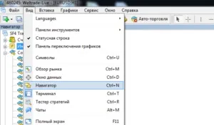 Встановлюємо радника форекс правильно ( «запив» Каталог даних MQL4) Встановлюємо радника форекс правильно