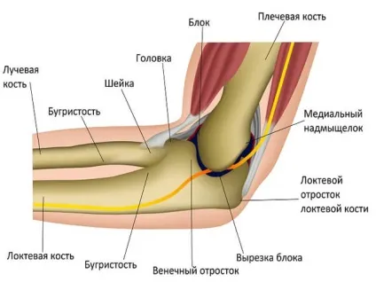 Забій ліктьового суглоба як лікувати в домашніх умовах фото і відео (лікувати) Забій ліктьового суглоба як лікувати в домашніх умовах фото і відео