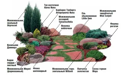 Як зробити рокарій на дачі своїми руками, облаштування кам'яної гірки в саду (облаштування) Як зробити рокарій на дачі своїми руками, облаштування кам'яної гірки в саду