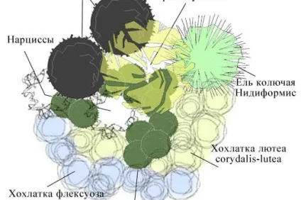 Як зробити рокарій на дачі своїми руками, облаштування кам'яної гірки в саду (рокарій) Як зробити рокарій на дачі своїми руками, облаштування кам'яної гірки в саду