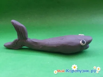 Як зліпити акулу з пластиліну (пластиліну) Як зліпити акулу з пластиліну