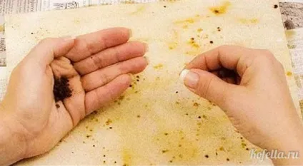 Як зістарити папір за допомогою кави, все про каву