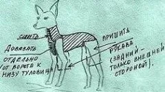 Як зв'язати комбінезон для собаки крючком (комбінезон для собаки) Як зв'язати комбінезон для собаки крючком