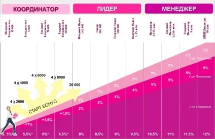 Як такий координатор компанії ейвон
