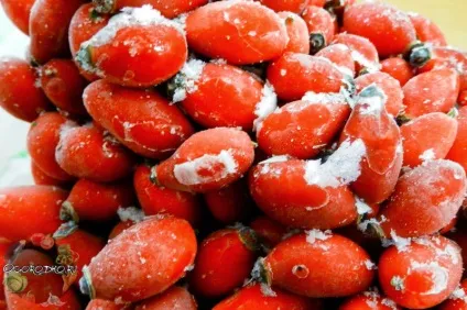 Як сушити шипшину, щоб зберегти корисні речовини (корисні) Як сушити шипшину, щоб зберегти корисні речовини