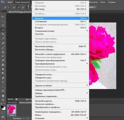 Як видалити виділену область в фотошопі докладна інструкція (видалити) Як видалити виділену область в фотошопі докладна інструкція