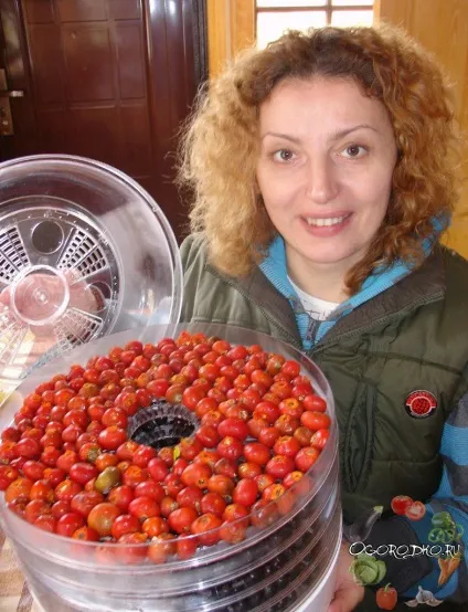 Як сушити шипшину, щоб зберегти корисні речовини (сушити) Як сушити шипшину, щоб зберегти корисні речовини