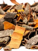 Як зміцнити судини і капіляри народними засобами (засобами) Як зміцнити судини і капіляри народними засобами