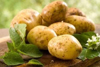 Як заспокоїти шкіру після засмаги 1