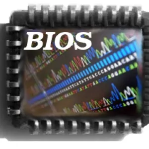 Як дізнатися версію bios материнської плати три простих способи (bios) Як дізнатися версію bios материнської плати три простих способи