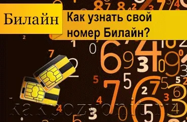 Як дізнатися свій номер билайн на телефоні, модемі, ipad