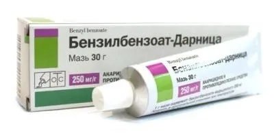 Як виглядає коростяний кліщ у людини і при якій температурі гине (коростяний) Як виглядає коростяний кліщ у людини і при якій температурі гине