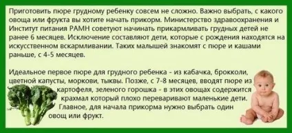 Як варити брокколі для першого прикорму (прикорму) Як варити брокколі для першого прикорму