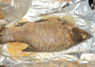 Як смачно приготувати лина в духовці - рецепт з фото (запечена риба) Як смачно приготувати лина в духовці - рецепт з фото