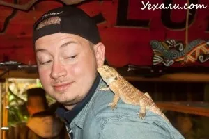 Як заварювати в'єтнамський кави (в'єтнамський) Як заварювати в'єтнамський кави