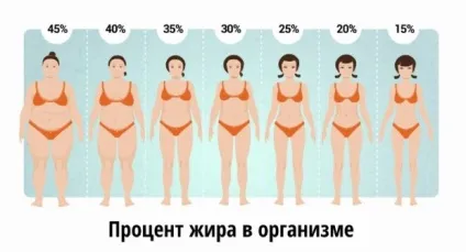 Як жінці швидко прибрати жир з живота і боків за тиждень, феломена (швидко) Як жінці швидко прибрати жир з живота і боків за тиждень, феломена
