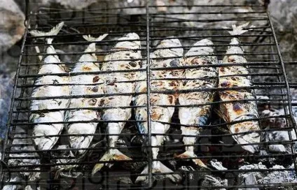 Як запікається скумбрія на багатті на решітці (решітці) Як запікається скумбрія на багатті на решітці