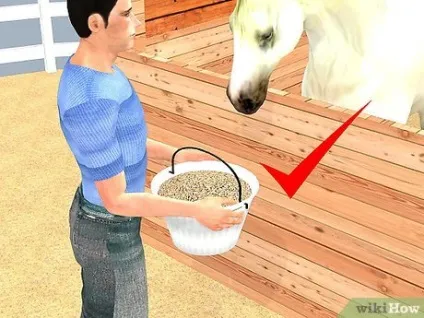 Як піклуватися про коня