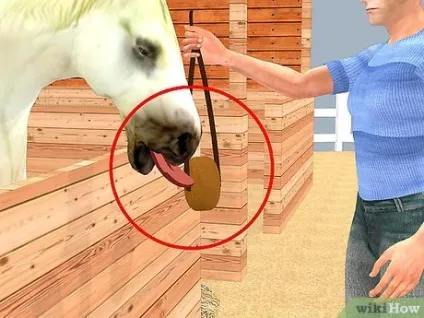 Як піклуватися про коня