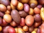Картопля, картопля - плід диявольської сили (сили) Картопля, картопля - плід диявольською сили