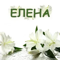 Картинки з ім'ям елена, льону (лена) Картинки з ім'ям елена, льону