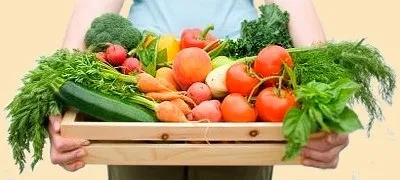 Капуста допоможе схуднути і успішно спалювати жир - корисні фітонутрієнти і шкідливі ксеноестрогени