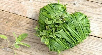 Краплі морозава складу як приготувати і застосовувати (краплі) Краплі морозава складу як приготувати і застосовувати